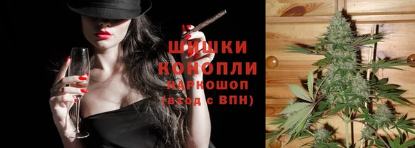 мдпв Горно-Алтайск