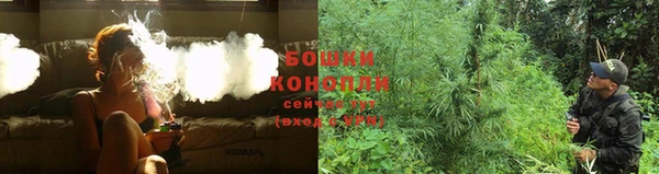 трава Горнозаводск