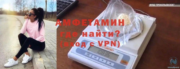 мдпв Горно-Алтайск