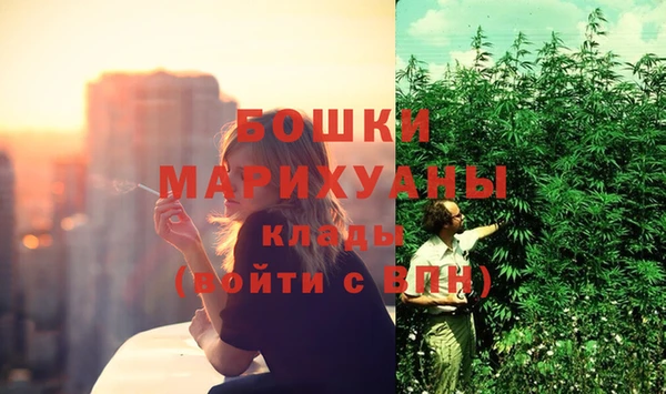 мдпв Горно-Алтайск
