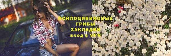 трава Горнозаводск