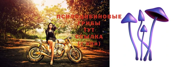 трава Горнозаводск