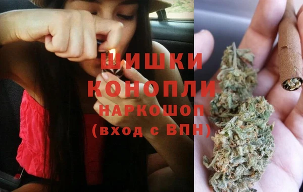 мдпв Горно-Алтайск
