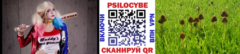 Галлюциногенные грибы GOLDEN TEACHER  блэк спрут онион  Назрань 