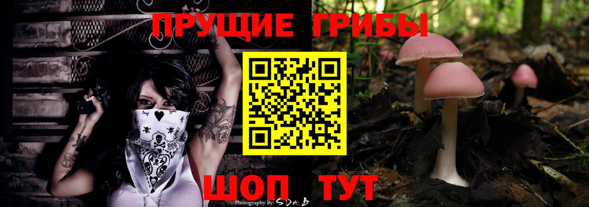 Назрань  Псилоцибиновые грибы Magic Shrooms  Вход с VPN 